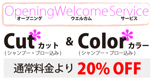 オープニングウェルカムサービス